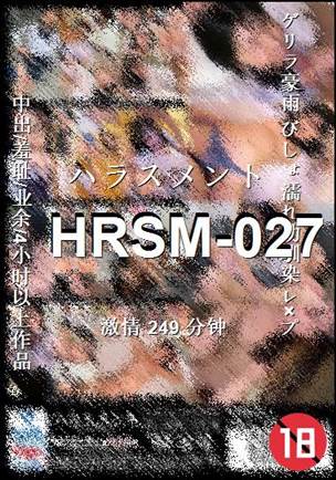 HRSM-027Ѹ