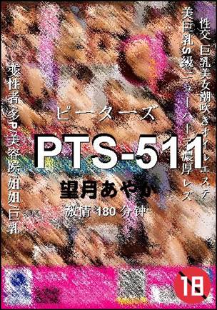 PTS-511Ѹ