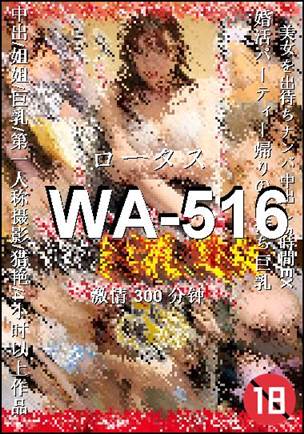 WA-516Ѹ