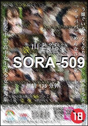 SORA-509Ѹ
