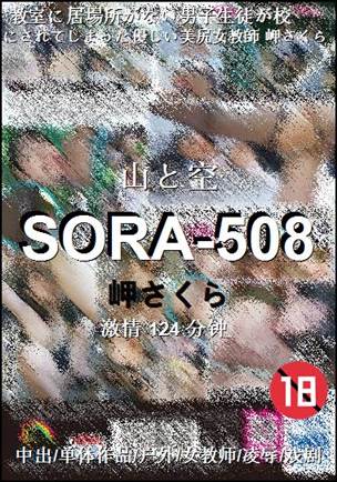SORA-508Ѹ