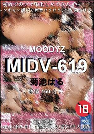 MIDV-619Ѹ