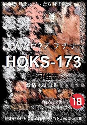 HOKS-173BT