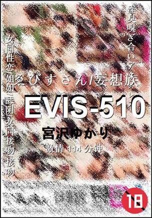 EVIS-510BT