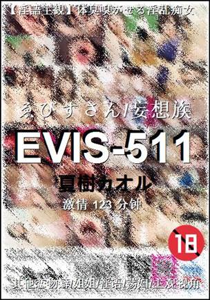 EVIS-511BT