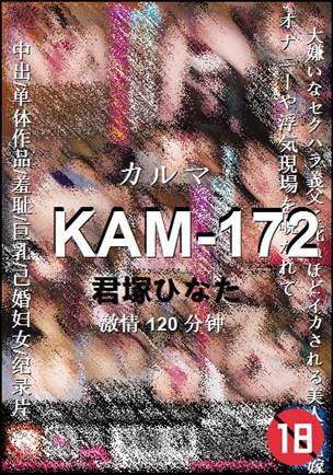 KAM-172Ѹ