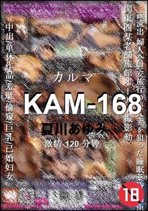 KAM-168Ѹ