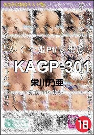 KAGP-301Ѹ