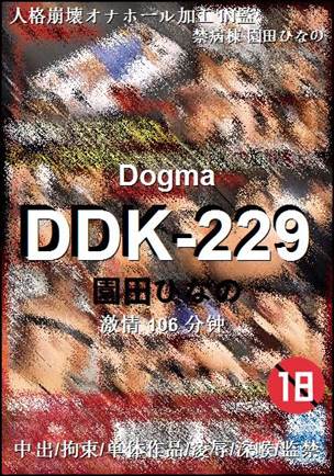 DDK-229Ѹ