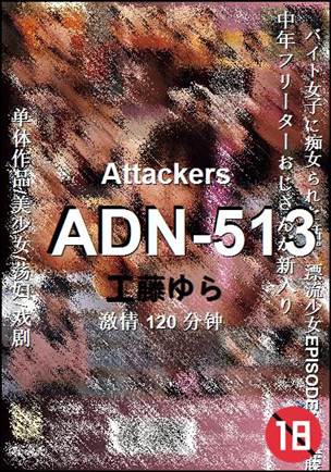 ADN-513Ѹ