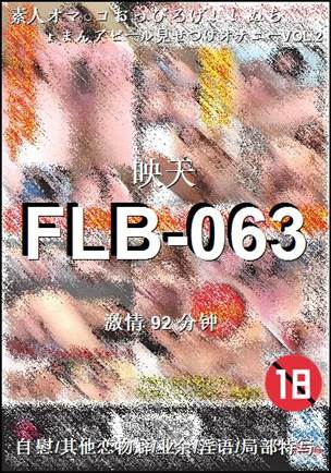 FLB-063Ѹ