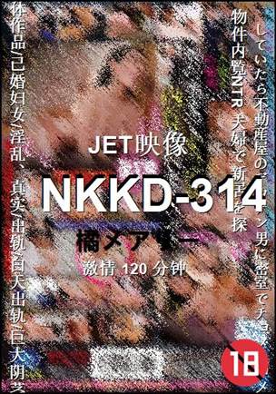 NKKD-314BT