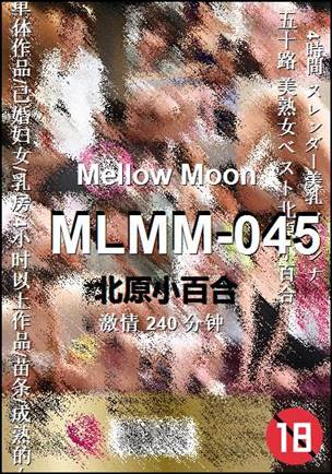 MLMM-045BT