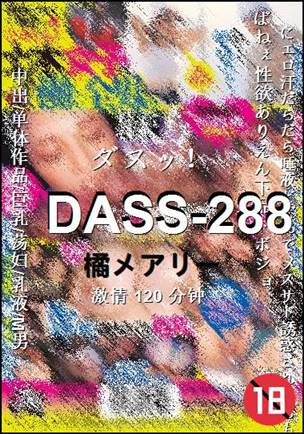 DASS-288Ѹ