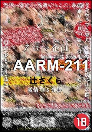 AARM-211BT