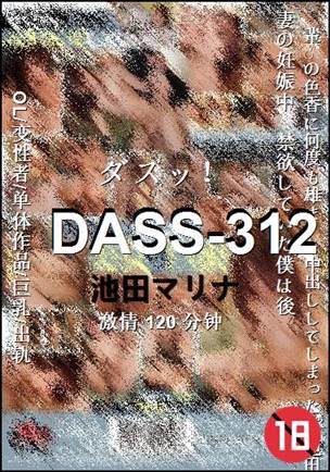 DASS-312Ѹ