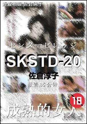SKSTD-20Ѹ