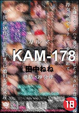 KAM-178BT