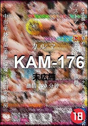 KAM-176BT