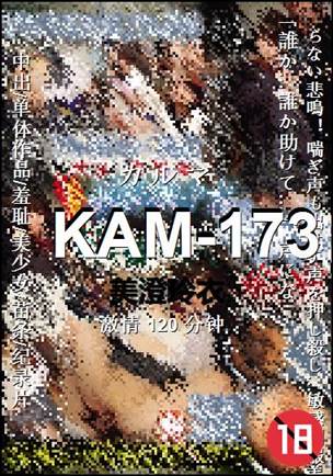 KAM-173BT