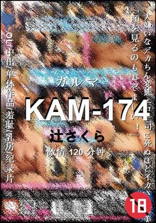 KAM-174Ѹ