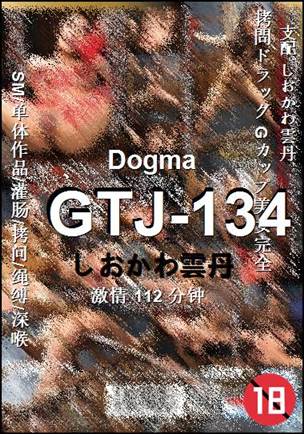 GTJ-134Ѹ