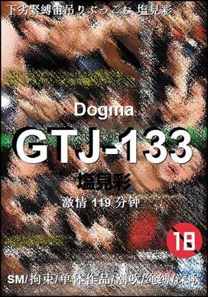 GTJ-133Ѹ