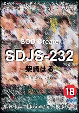 SDJS-232BT