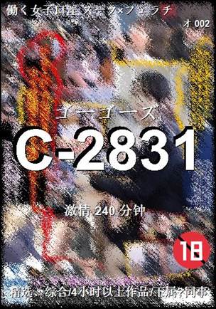 C-2831Ѹ
