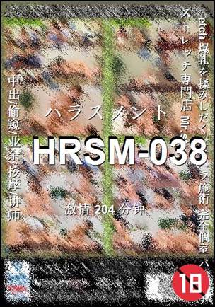 HRSM-038Ѹ