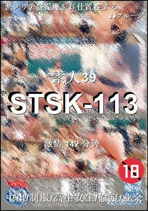 STSK-113BT����