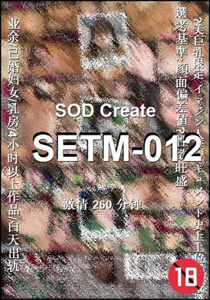SETM-012Ѹ