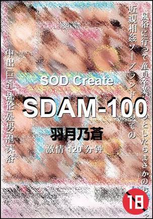 SDAM-100Ѹ