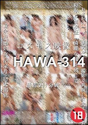 HAWA-314BT