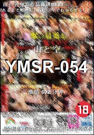 YMSR-054Ѹ