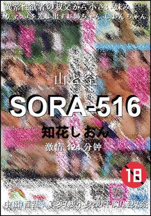 SORA-516BT