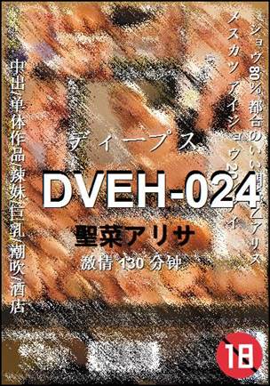 DVEH-024BT