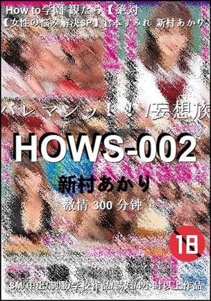 HOWS-002Ѹ