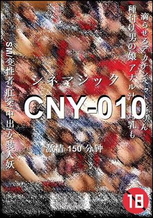 CNY-010Ѹ