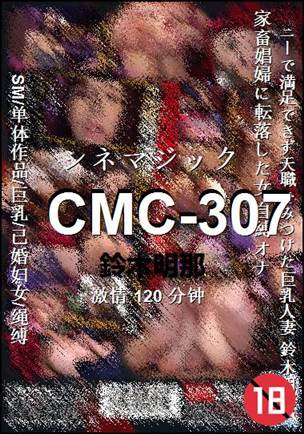 CMC-307Ѹ