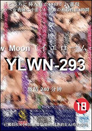 YLWN-293Ѹ