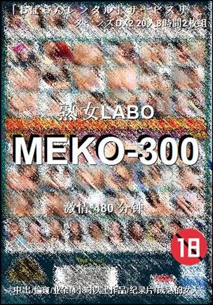 MEKO-300Ѹ
