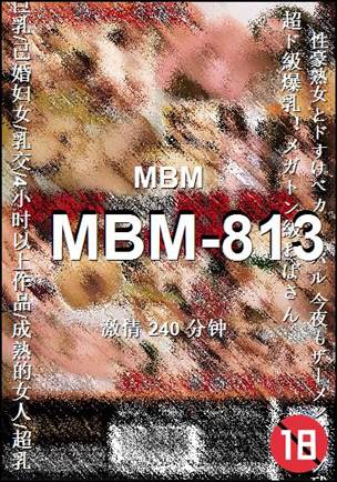 MBM-813Ѹ