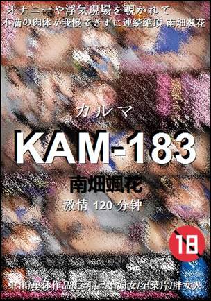 KAM-183Ѹ