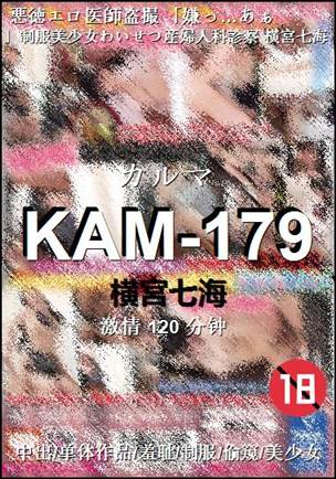 KAM-179Ѹ