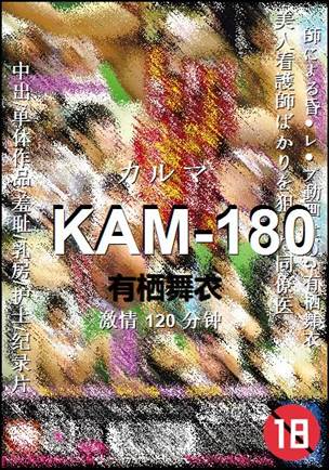 KAM-180Ѹ