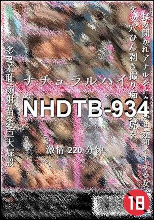 NHDTB-934Ѹ