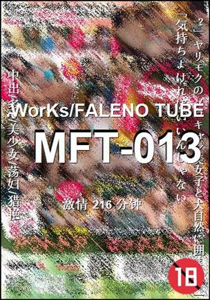 MFT-013Ѹ