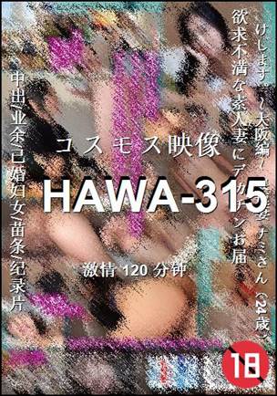 HAWA-315BT