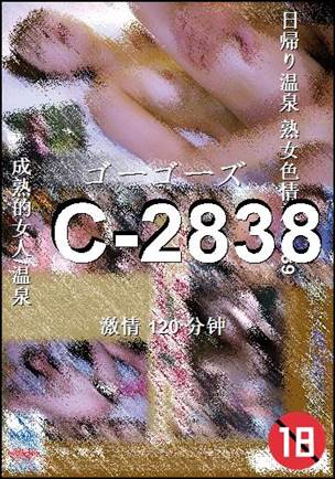 C-2838Ѹ
